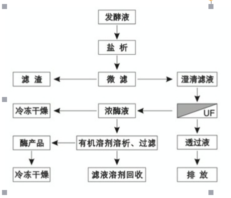 四川提取液提纯浓缩设备